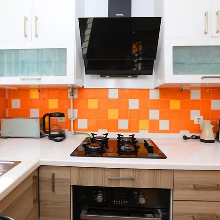 Exclusive Flat With Bosphorus View In Besiktas 公寓 伊斯坦布尔